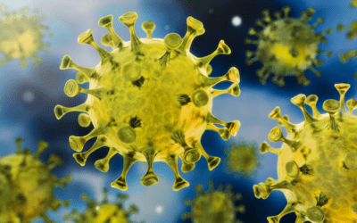 NEW Subclass 408 COVID-19 visa